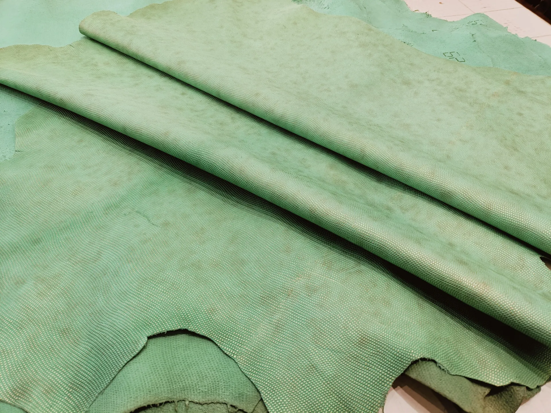 ラム リザード柄 インポート スプリンググリーン